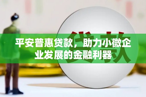 英德平安普惠贷款，助力小微企业发展的金融利器
