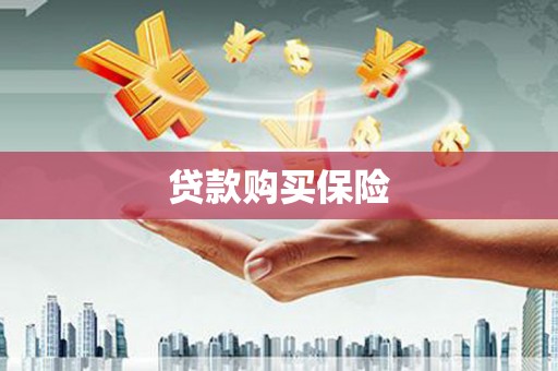 英德贷款购买保险