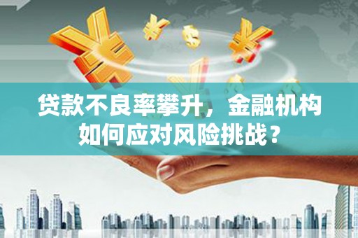 英德贷款不良率攀升，金融机构如何应对风险挑战？