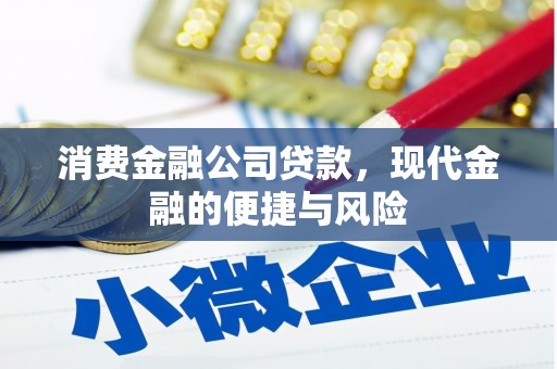 英德消费金融公司贷款，现代金融的便捷与风险