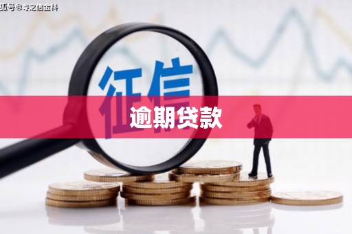 英德逾期贷款