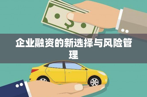 英德企业融资的新选择与风险管理
